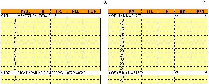 tumú (blokkosított szerkezet) 2.