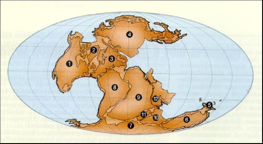 Perm - 270