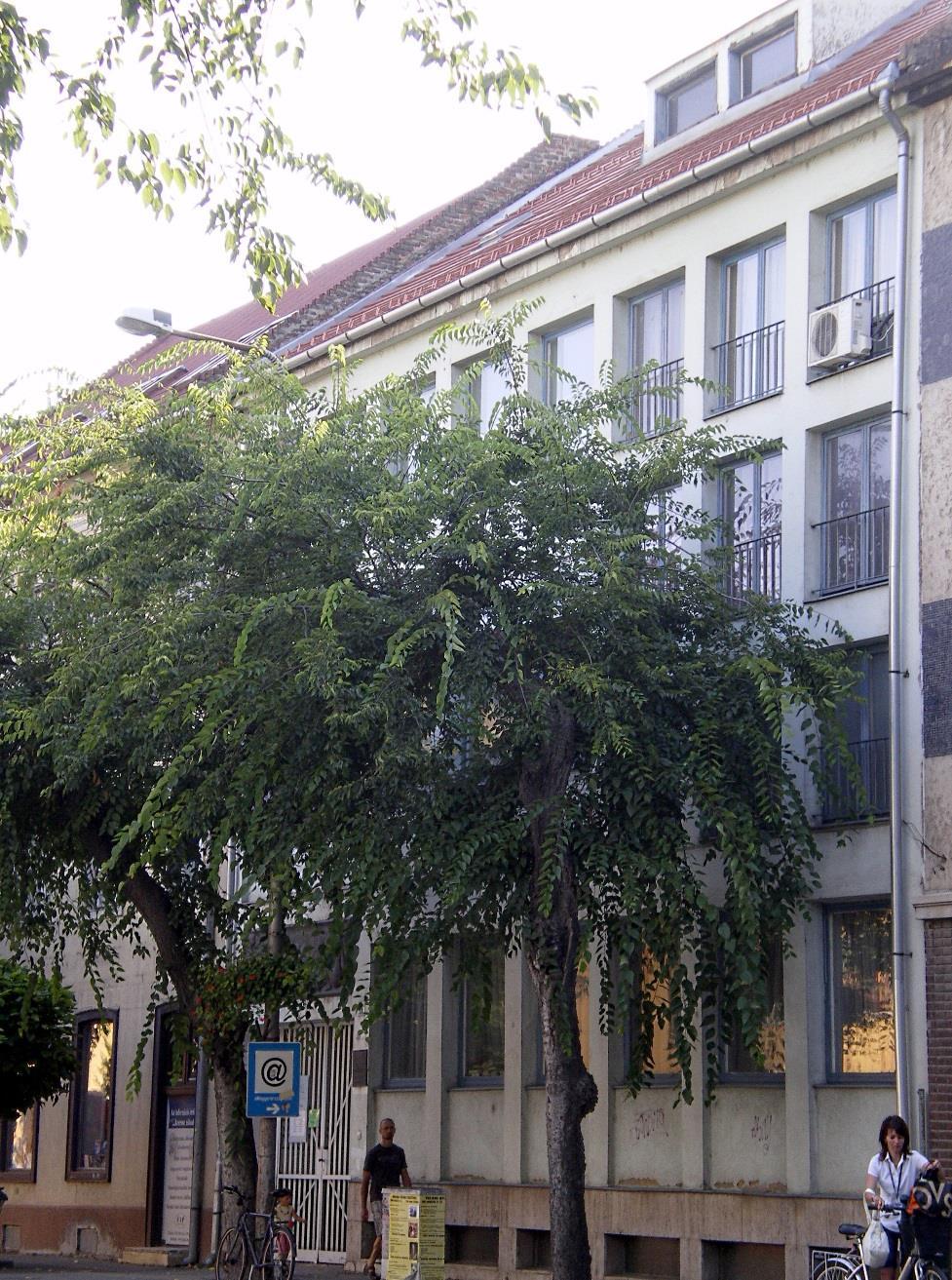 A Tolna Megyei Illyés Gyula Könyvtár, mint megyei hatókörű városi könyvtár szervezi a megye nemzeti és etnikai kisebbségekhez tartozó lakosainak könyvtári ellátását, közvetítő szerepet tölt be az