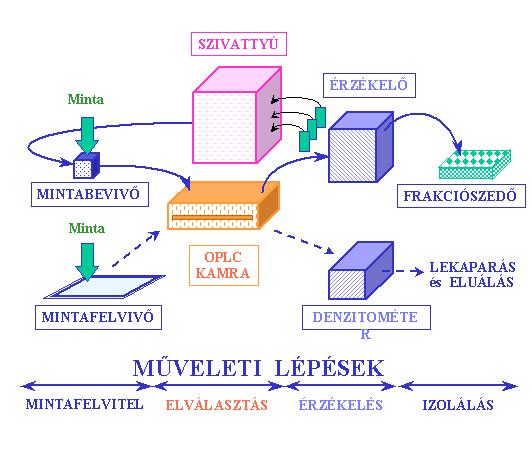 Pontosság kise, mint HPLC-s vizsgáltoké, zonn ez különség elhnygolhtó iológii minták esetén mintvételől szármzó szórások különségeihez képest.