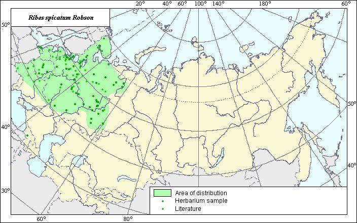 ábra), esetleg a már említett csepleszmeggy és még inkább zelnice meggy, Padus avium (sin. Prunus padus) faj (9 10. ábra) is lehet.