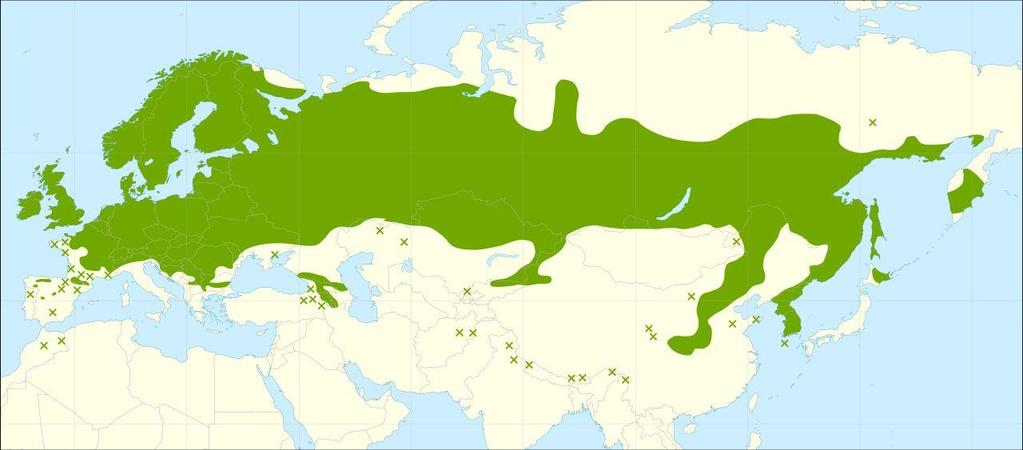 SURÁNYI DEZSŐ 9.
