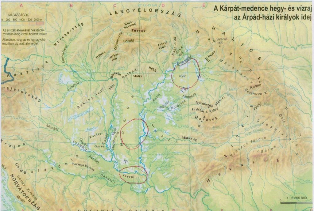 BEVEZETŐ TANULMÁNYOK A MEGGY AREÁJA, MINT ESETLEGES GEOGRÁFIAI LEHETŐSÉG A MAGYAR ŐSHAZA