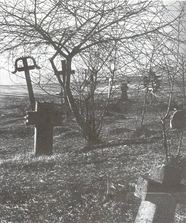 BEVEZETŐ TANULMÁNYOK A MEGGY AREÁJA, MINT ESETLEGES GEOGRÁFIAI LEHETŐSÉG A MAGYAR ŐSHAZA MEGHATÁROZÁSÁBAN SURÁNYI DEZSŐ Ezek gyümölcsészeti szempontból a kultúrflóra refúgium területeinek tekinthetők.