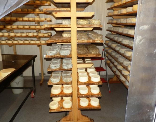 Jó példaként erre, megtekintettünk több családi gazdaságot, köztük a Zoff család 2 generációja által működtetetett sajtüzemet és tehenészetet.