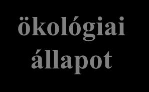 befolyásoló kémiai állapot