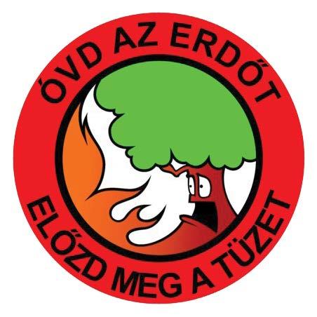 Ittam a szavait, lubickoltam a történeteiben. Mindig is érdekeltek a könyvek, szeretek olvasni. Ezért nekem az is igazi kikapcsolódás, ha a könyvtárral foglalkozhatok.