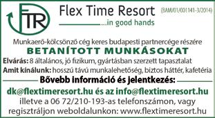 Szeretnél németországi bejelentést és Euros fizetést? Akkor téged keresünk! Jelentkezni a 06 30 950 0924-es számon lehet.
