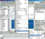 88 89 Delphi 2005 Delphi 2005 Egy keret mindenkinek A Delphi esetében a.net Framework megjelenése jelentõs változást hozott errõl már egy korábbi verzió megjelenése kapcsán írtunk.