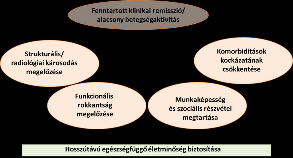 - konvencionális szintetikus (csdmards) methotrexat, leflunomid, sulfasalazin, hydroxychloroquin, chloroquin - célzott szintetikus (tsdmards) JAK-gátlók (baricitinib, tofacitinib) Biológiai DMARD-ok