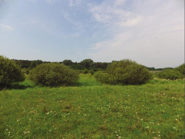 (HUHN20039)