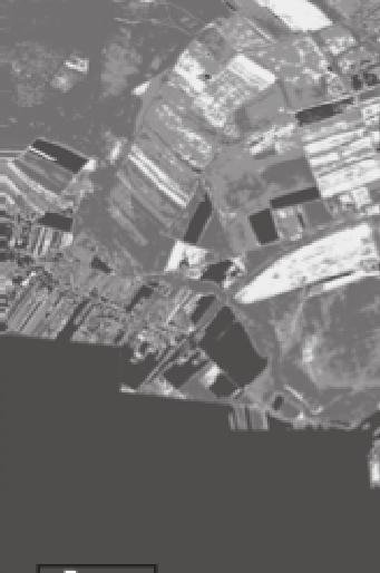 NDVI térképe Figure 2: