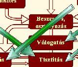 keresés szeletelés felezés szín Tárgyalás méret szárazás csíkozás bogyózás