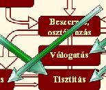 homogénezés szín szeletelés Tárgyalás méret szárazás felezés bogyózás csíkozás