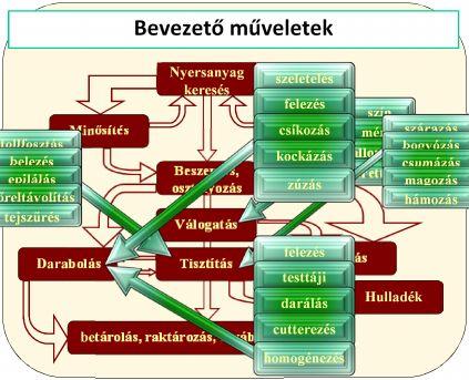 Előkészítő műveletek: érettség Beszerzés, osztályozás Válogatási, osztályozási