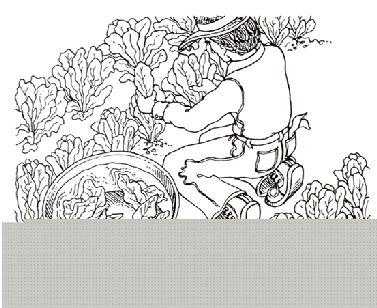 ! Szabó Z, Csury I, Hidegkuti Gy (1987): Élelmiszeripari műveletek és gépek