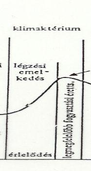 Tartósító kezelés Aerob légzés lassítása Úsztatás, bemártás: gomba elleni vegyszeres