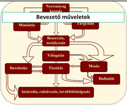 tejszűrés Válogatás szárazás bogyózás szín