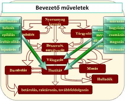érettség hámozás Válogatás Mosás Darabolás