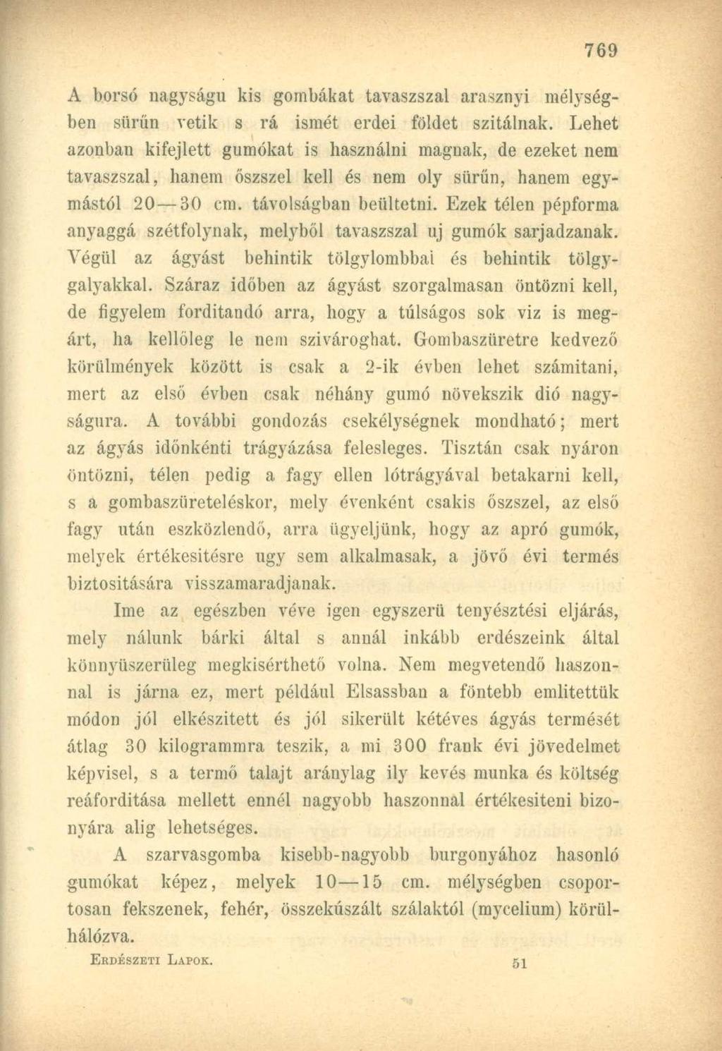 A borsó nagyságú kis gombákat tavaszszal arasznyi mélységben sűrűn vetik s rá ismét erdei földet szitálnak.