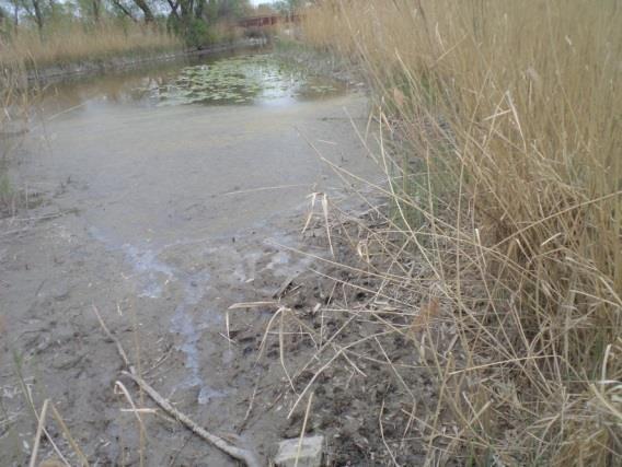 február 22-től a Közép- Duna- völgyi Vízügyi Igazgatóság a Ráckevei Soroksári-Duna ág üzemvízszintjét belvíz esetén tartandó üzemvízszintre csökkenttették le, ami mintegy 50 cm-es vízszintcsökkentést