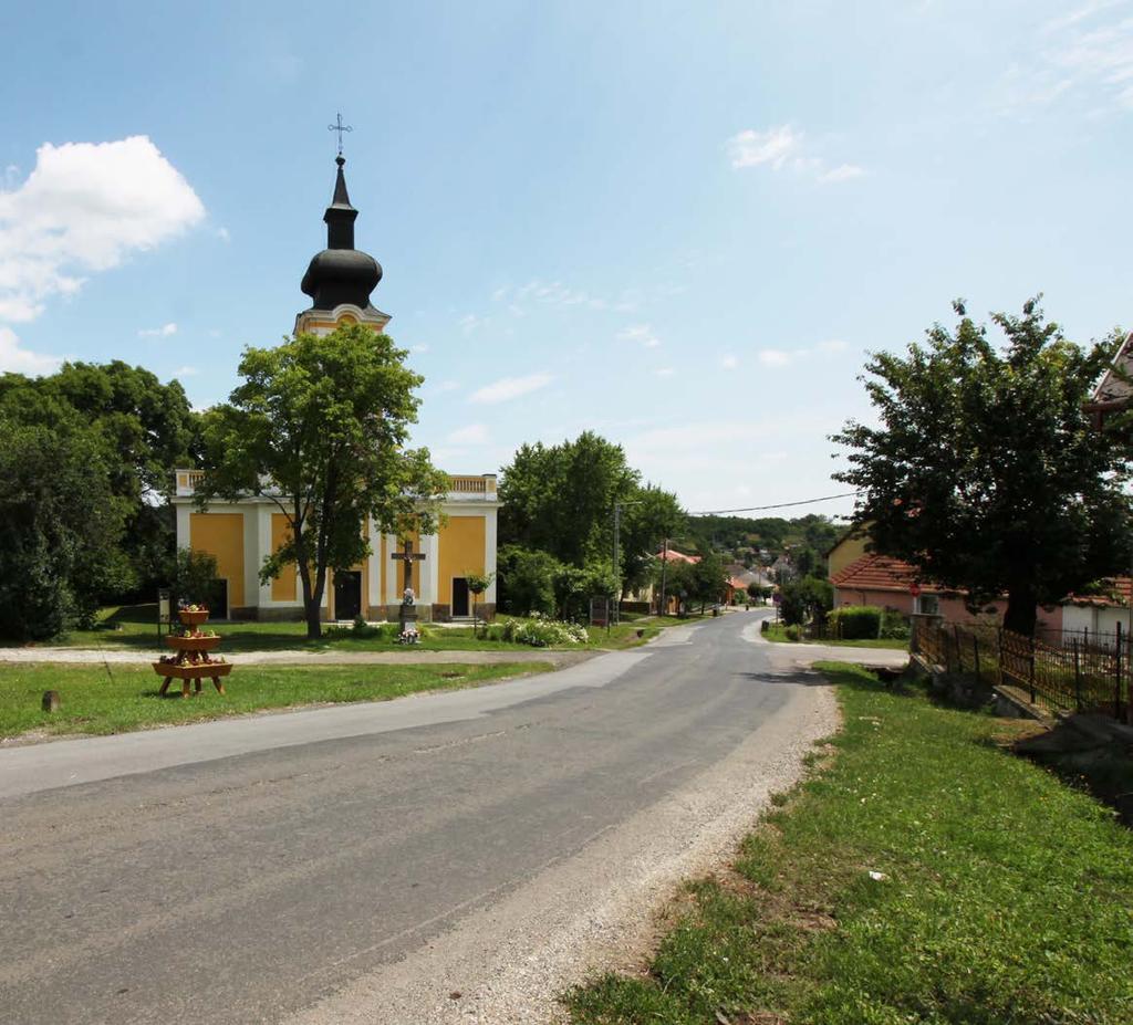 idejével, így ugyanazt a funkciót tudják betölteni, mint az örökzöldek nagyobb változatosság mellett, úgy hogy közben megjelenésük sem tájidegen.
