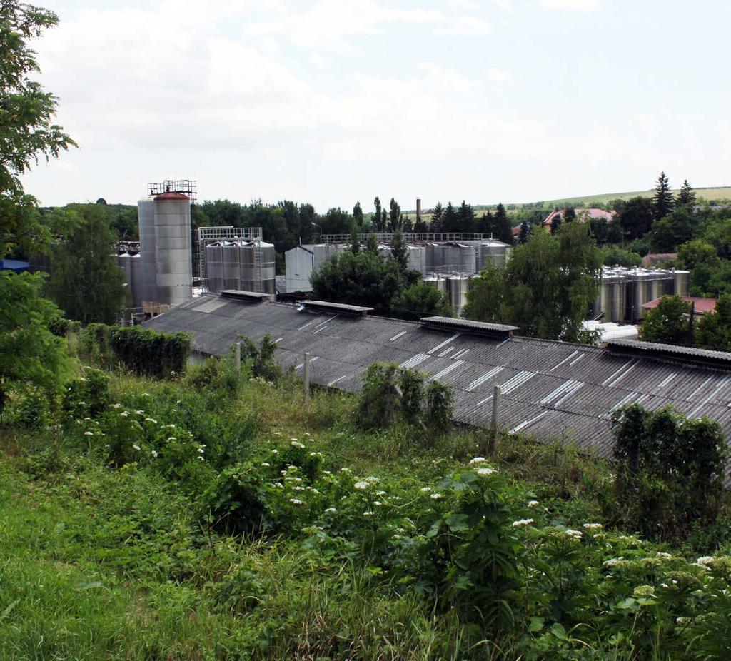 6.4 A borászat Ipari létesítmény a település központjába ékelődve A szőlő termesztés és a bor készítése évszázadok óta meghatározza a környék életét.
