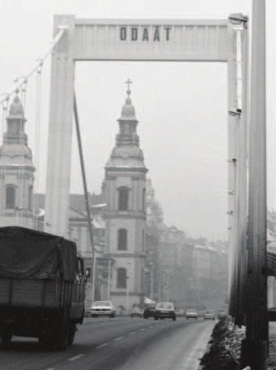rendszerváltást követően, ahogy ezt a művek többsége is bizonyította. 114 Ennek ellenére az esemény számos probléma-megszólító projekt megvalósulását eredményezte már ekkor is.