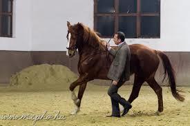 Redoppe