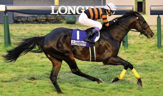 GALOPP Nemzetközi galopp Hazai siker Japánban Vasárnap kora reggel a világ legnagyobb díjazású 2400 méteres versenyét rendezték Tokióban, nevezetesen a 36. Japan Cup-ot.