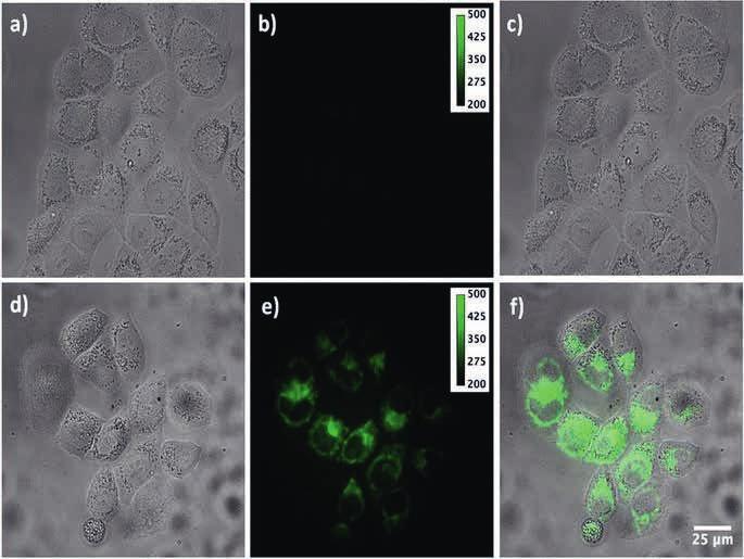VEGYIPAR ÉS KÉMIATUDOMÁNY Szulfo NH-csoportok in vitro in vivo Oxa(IV)-COOH SzKP-k CD-Oxa(IV) 17. ábra.