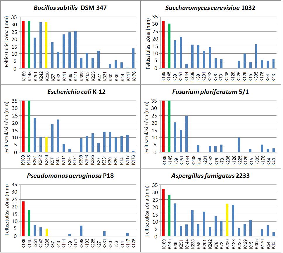 gátolták a Bacillus subtilis DSM 347 és az Escherichia coli K12 növekedését egyaránt. A St. turgidiscabies fajt eddig, mint növényi patogént írták le (KOBAYASHI et al.