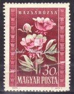 , margin copy, with decorative perforation. 1950. Virág I.