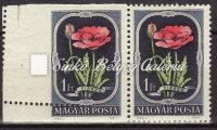 ) misprint with spectacularly defective perforation. 1951/53. Épületek (I.) 1165. tétel 1951/53. Épületek (I.) Tévnyomat, az értékjelzés 1,78.