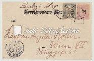 Long-distance letter-card, between ORSOVA-GRAZ, franked with Turul 1f+2kr black-numbered stamps (mixed franking). 1901.07.13.