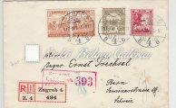 Turul-Arató vegyes bérmentesítéssel. / 1917.11.20. Registered letter. PÉCS-BAJA. Mixed franking with Turul-Harvester stamps. 1917.12.02. Ajánlott távolsági levél.