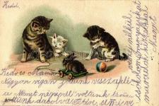 Cat school, humo ur, litho T2 23141.