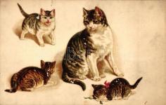 T2 Cat carriage, litho 2400 23143.