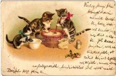 1899 Cat, spider, Lith-Artist Anstalt