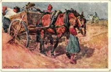Hazatérés a me zőről, Magyar Őstehets 23231.