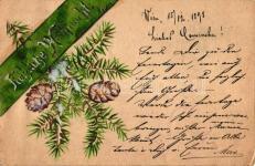 1899 Christmas, birth of Jesus Christ, Th 23526.