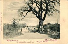 Mári aremete T2 20335.