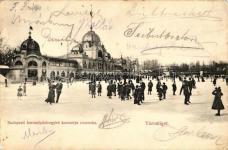 Vá rosliget, Korcsolyázó