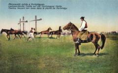 folklór (EB 20767.