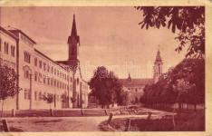 Hangya szöv 20797. 20794.
