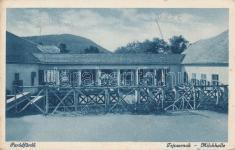 szülőháza, Római k 1 20995.