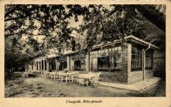 Visegrád, Gizella -telep,