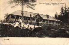 Igazságügyi palota / j 3400