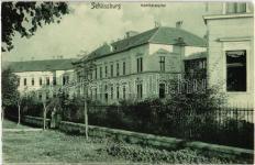 Segesvár (fa) T3 2 000 21546.