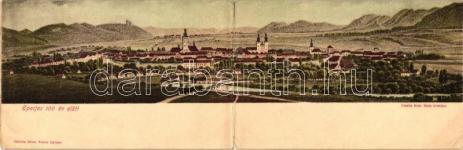 Cattarino S.